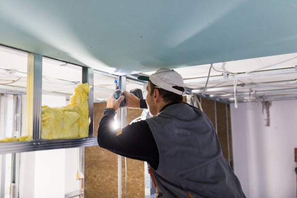 Best DIY Insulation Kits and Guidance in Covington, KY